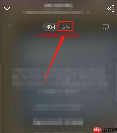 网易云音乐怎么查看曲风?网易云音乐查看曲风方法