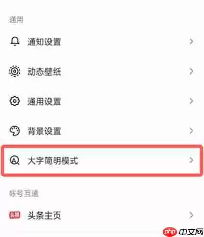 抖音大字简明模式怎么开启