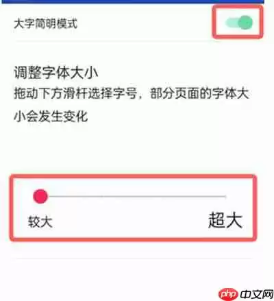 抖音大字简明模式怎么开启