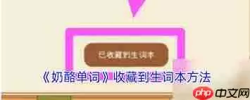 奶酪单词如何添加生词-奶酪单词怎样添加生词