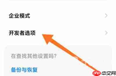 小米12开发者选项怎么打开