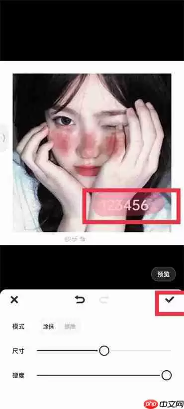 美图秀秀复制图片上的数字怎么弄