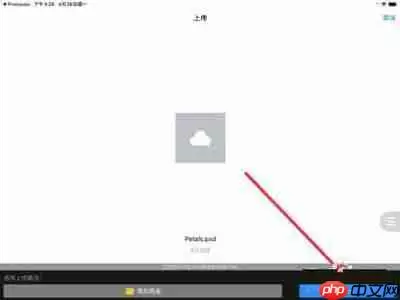 procreate能导出psd格式吗