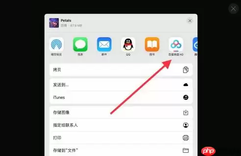 procreate能导出psd格式吗