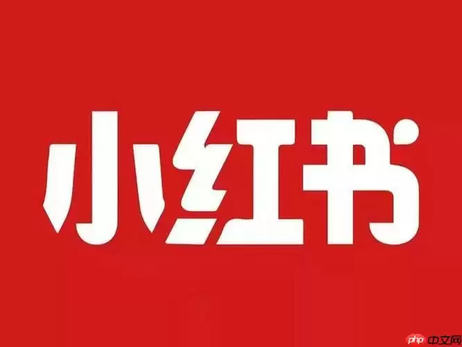 小红书如何加v不禁言 加v认证与防禁言方法