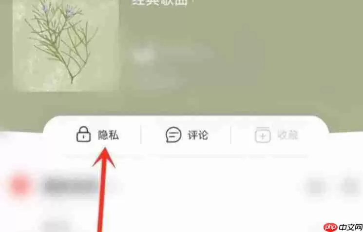 网易云音乐怎么私密单个歌单 网易云音乐单个歌单私密方法介绍