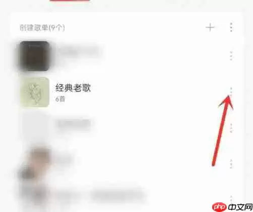 网易云音乐怎么私密单个歌单 网易云音乐单个歌单私密方法介绍