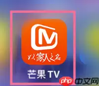 芒果TV密码在哪里设置