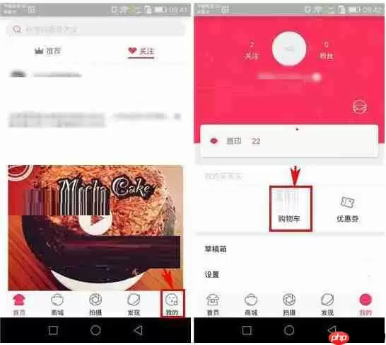 小红唇APP如何将购物车商品删掉？将购物车商品删掉的方法讲解