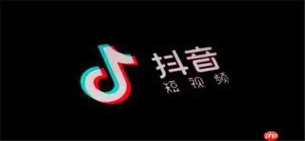 抖音就算是天定的良缘也会有辛苦是什么歌