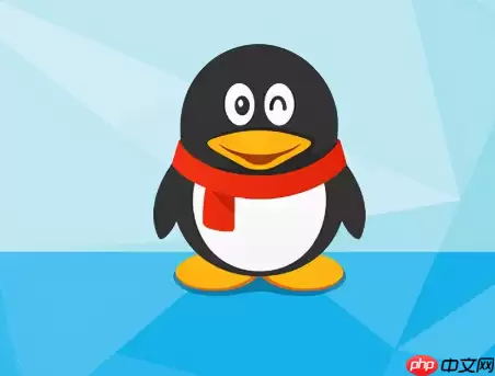 QQ怎么开启闪图功能 QQ开启闪图功能方法分享