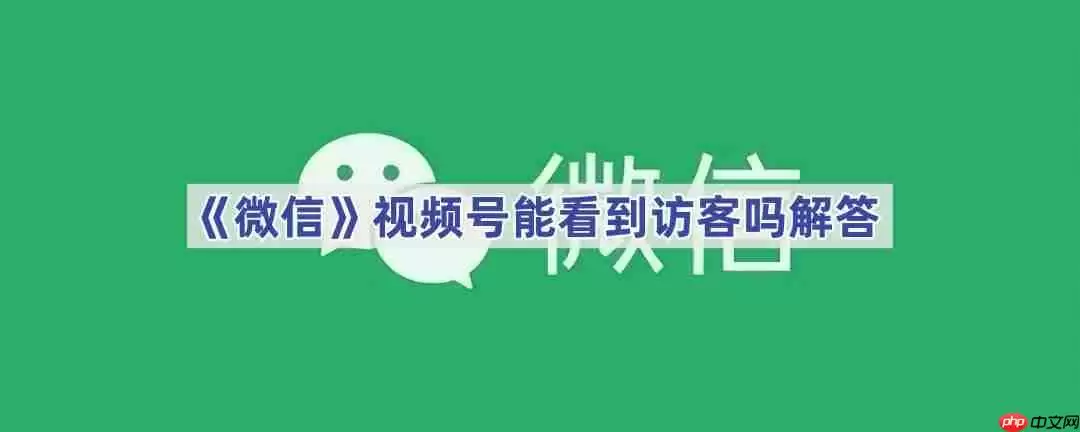 《微信》视频号能看到访客吗解答
