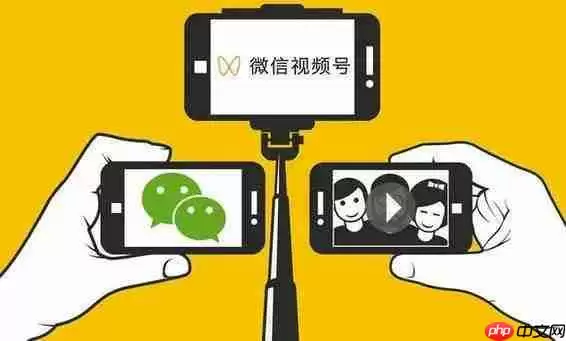 《微信》视频号能看到访客吗解答