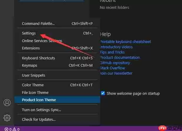 Vscode模式手册怎么打开?Vscode模式手册打开方法