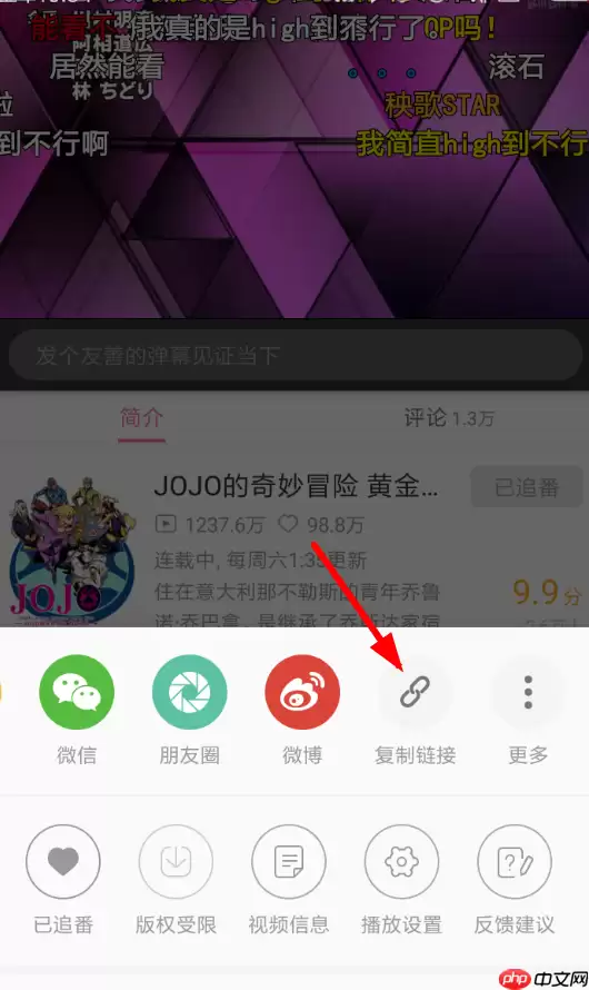 哔哩下载工具APP怎么使用？哔哩下载工具使用方法介绍