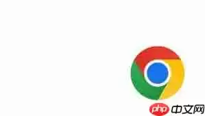 谷歌浏览器在线入口官网在哪