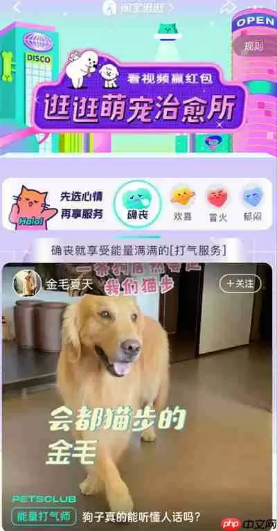 淘宝逛逛怎么进入萌宠治愈所