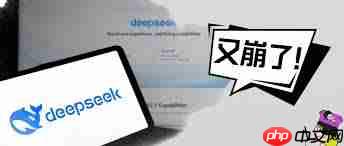 deepseek当前运行环境异常怎么解决-解决deepseek当前运行环境异常的方法有哪些