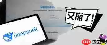 deepseek当前运行环境异常怎么解决-解决deepseek当前运行环境异常的方法有哪些