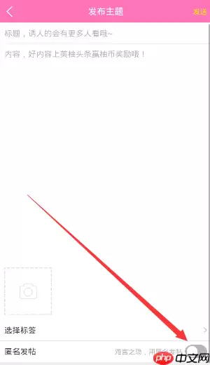 在柚宝宝里怎么进行匿名发帖？进行匿名发帖的方法介绍