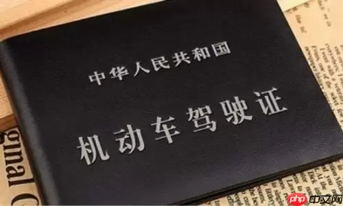 12123电子驾照哪些城市能用