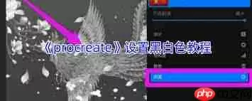 procreate怎么调成黑白色