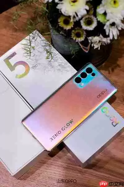 OPPOReno5有什么颜色