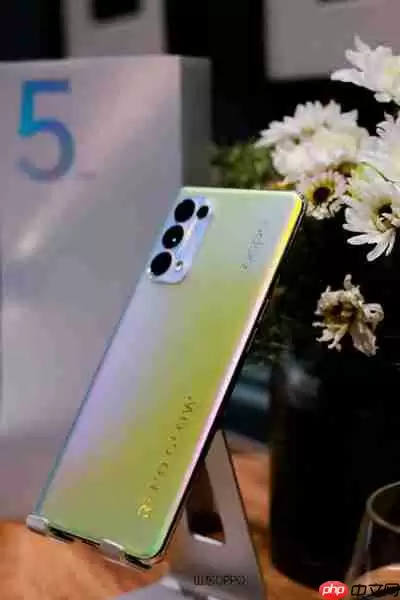 OPPOReno5有什么颜色