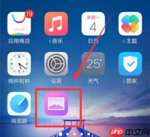 iqoopro手机怎么隐藏照片 隐藏照片教程分享