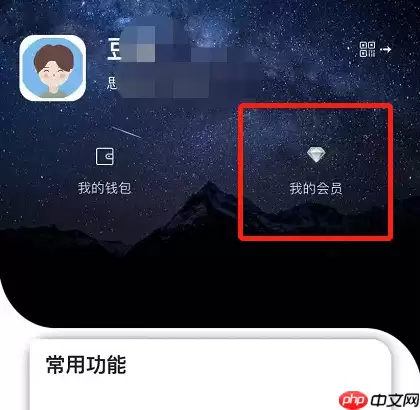 思语app如何办理vip 思语app办理vip方法