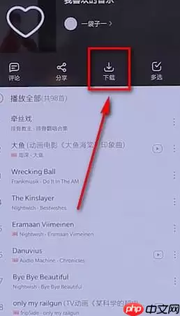 在网易云音乐里怎么进行批量下载？网易云音乐批量下载方法介绍