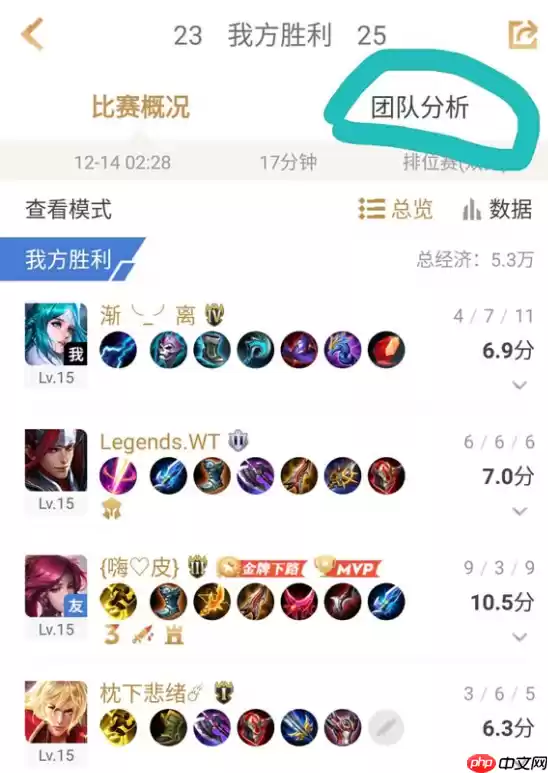 在王者营地里怎么查看团队分析？查看团队分析的方法说明