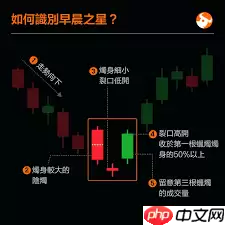 星图金融怎么查看历史协议