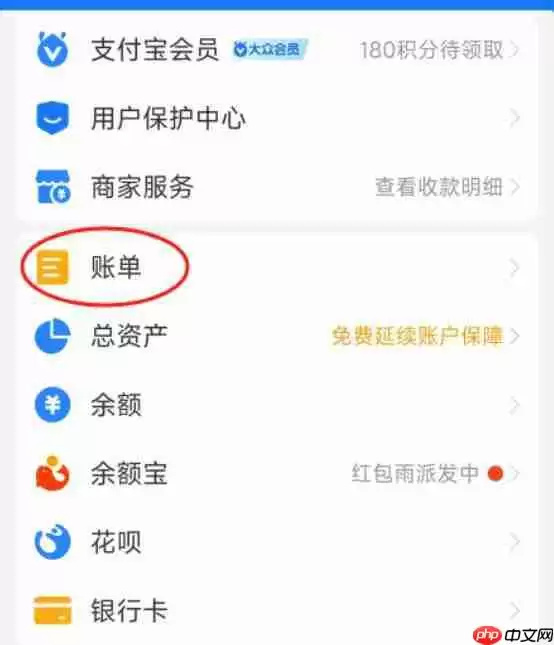 支付宝2025年度账单在哪里查