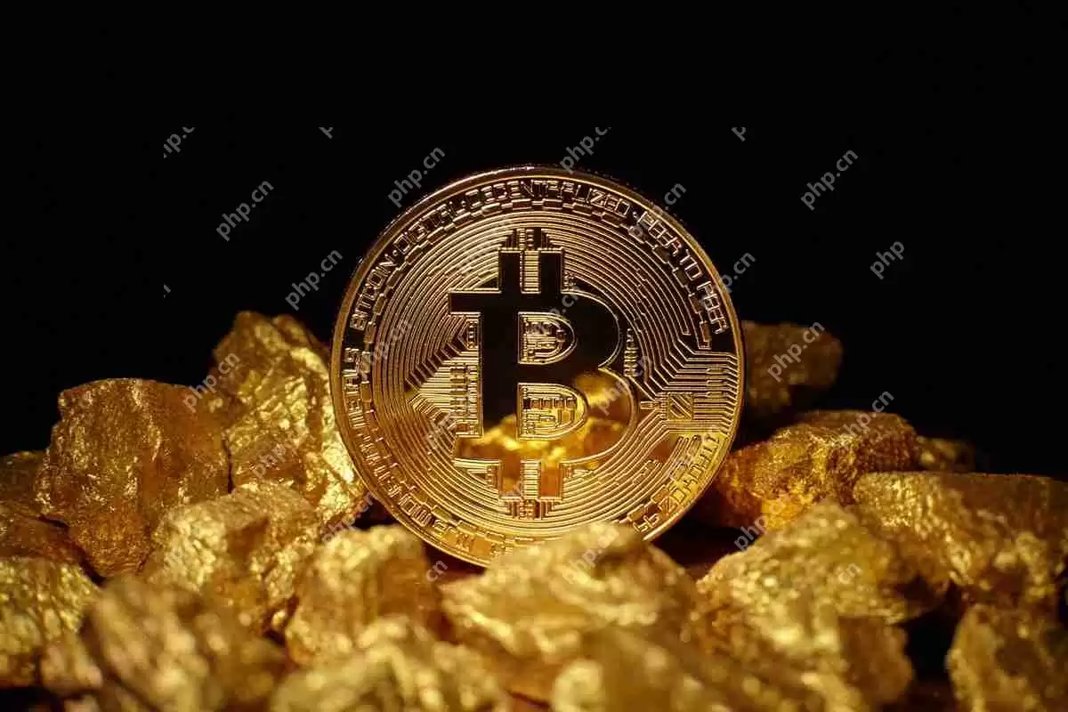 比特币或黄金：以美元的速度将出现哪个避风港？