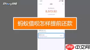 借呗提前还款怎么操作