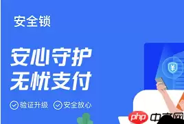 支付宝安全锁夜间保护怎么开启