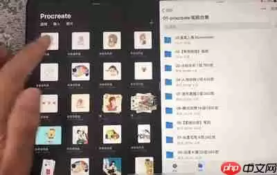 Procreate怎么分屏导入笔刷