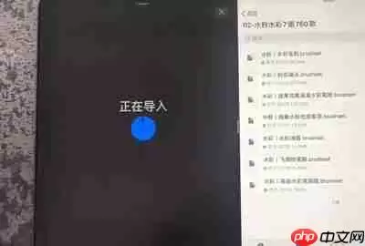 Procreate怎么分屏导入笔刷