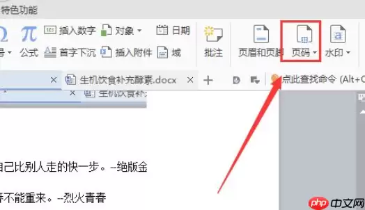 wps2007如何插入页码？wps2007插入页码图文介绍
