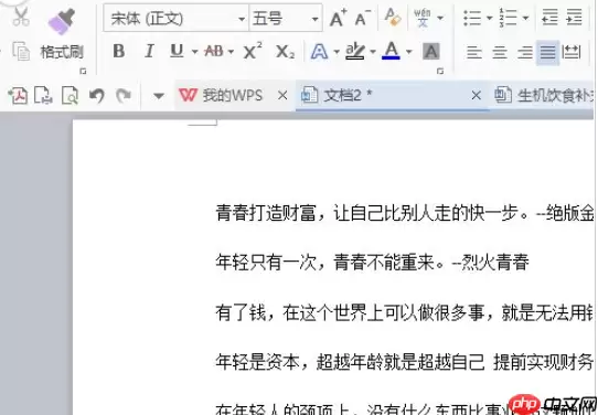 wps2007如何插入页码？wps2007插入页码图文介绍