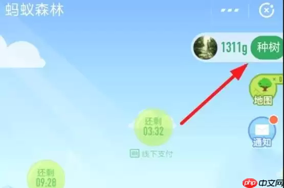 在支付宝里怎么认领蚂蚁森林保护地？认领蚂蚁森林保护地的方法介绍