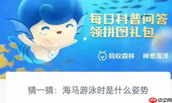 支付宝海马游泳的时候是什么姿势