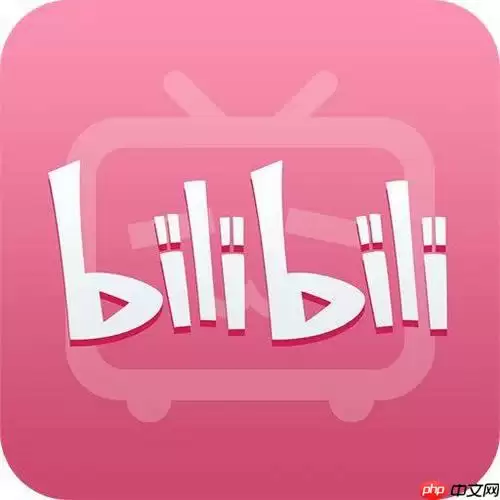 b站电影在哪找 轻松找到b站电影资源的技巧