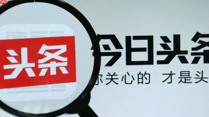 今日头条专业版和普通版区别 今日头条两个版本对比