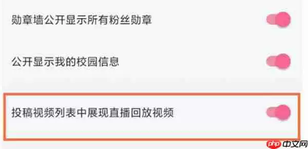 哔哩哔哩直播回放功能怎么开启