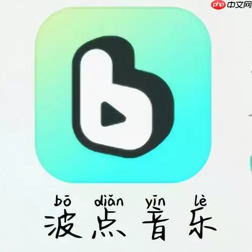 波点音乐是哪个公司的 揭秘波点音乐的所属公司