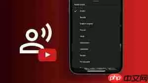 优酷播放器如何变音轨