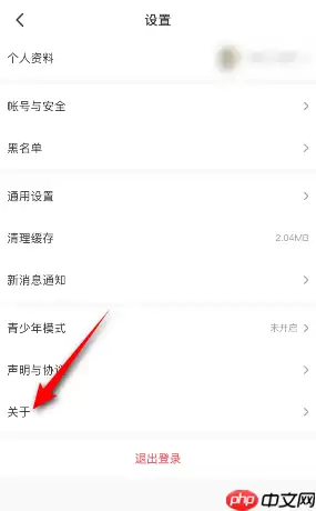 4399游戏盒版本号如何查看