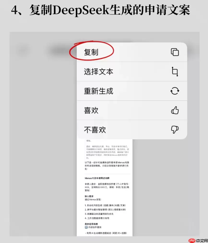 《Manus》使用DeepSeek申请激活码教程